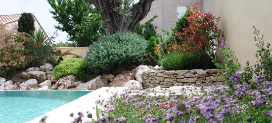 Massif de fleurs entretenus près d'une piscine